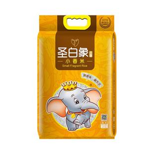 穗方源圣白象小香米5kg 一级优质香米 晶莹透亮软糯不腻 大米
