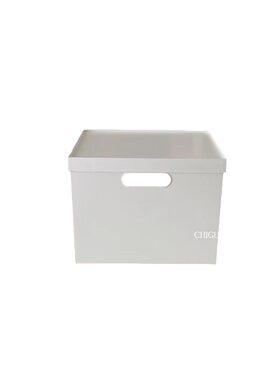 塑料ins简约白色杂物收纳整理箱