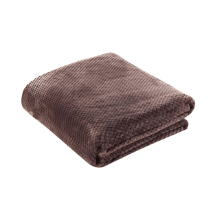 法兰绒小毛毯学生珊瑚绒毯子冬季加厚空调午睡毯单人床单毛巾被子