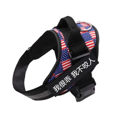 狗狗外出牵引绳胸背带遛狗绳子金毛萨摩耶泰迪大中小型犬狗链用品