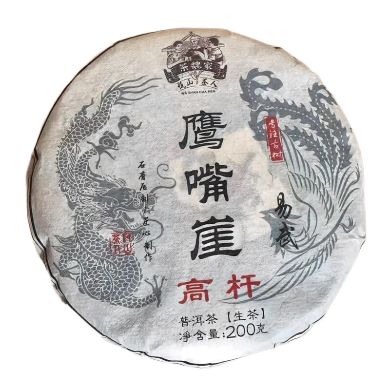 挑采高杆古树生茶易武鹰嘴崖精品