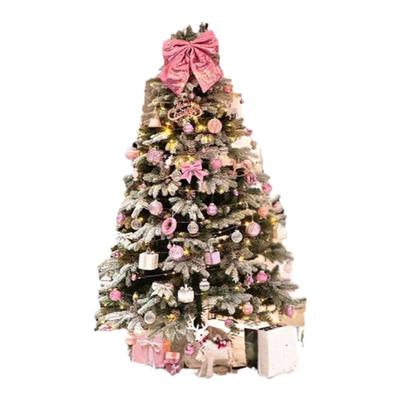 圣诞树真树客厅盆栽挪威云杉树