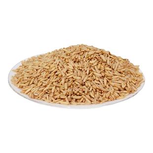 燕麦米新米粗粮胚芽优质农家自产一级商用即食孕妇煮粥健代餐新货