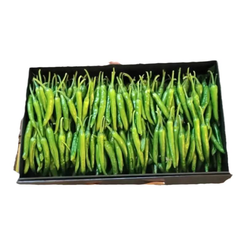 正宗樟树港辣椒原产地新鲜爽口湖南岳阳特产湘阴原产地现摘鲜辣椒