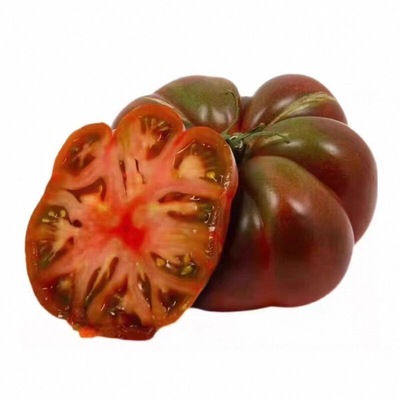 黑牛排番茄秧苗巨型丑柿子黑鹅肝西红柿种子四季盆栽带土球口感好