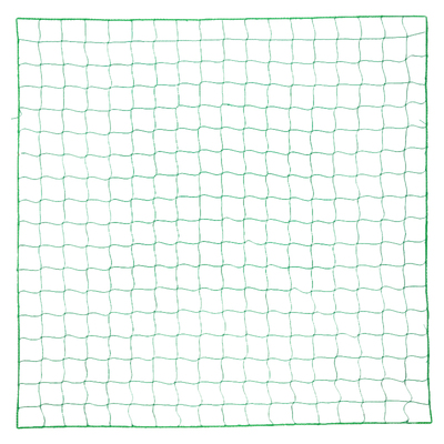 园艺植物攀爬豆角农用