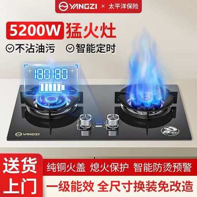 扬子燃气灶台煤气灶炉液化气灶具天然气家用双灶猛火台式嵌入式