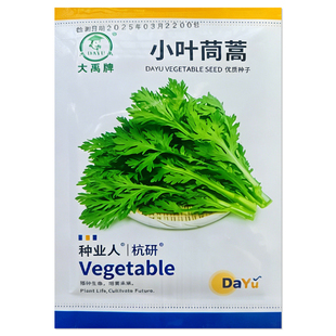 小叶茼蒿种子皇帝菜种籽蒿子秆四季家庭菜园蔬菜种子家用菜种子籽