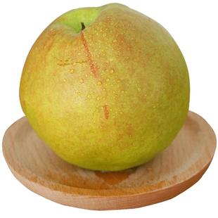 山西隰县玉露香梨小西天脆甜无渣当季新鲜水果梨子10斤礼盒装顺丰