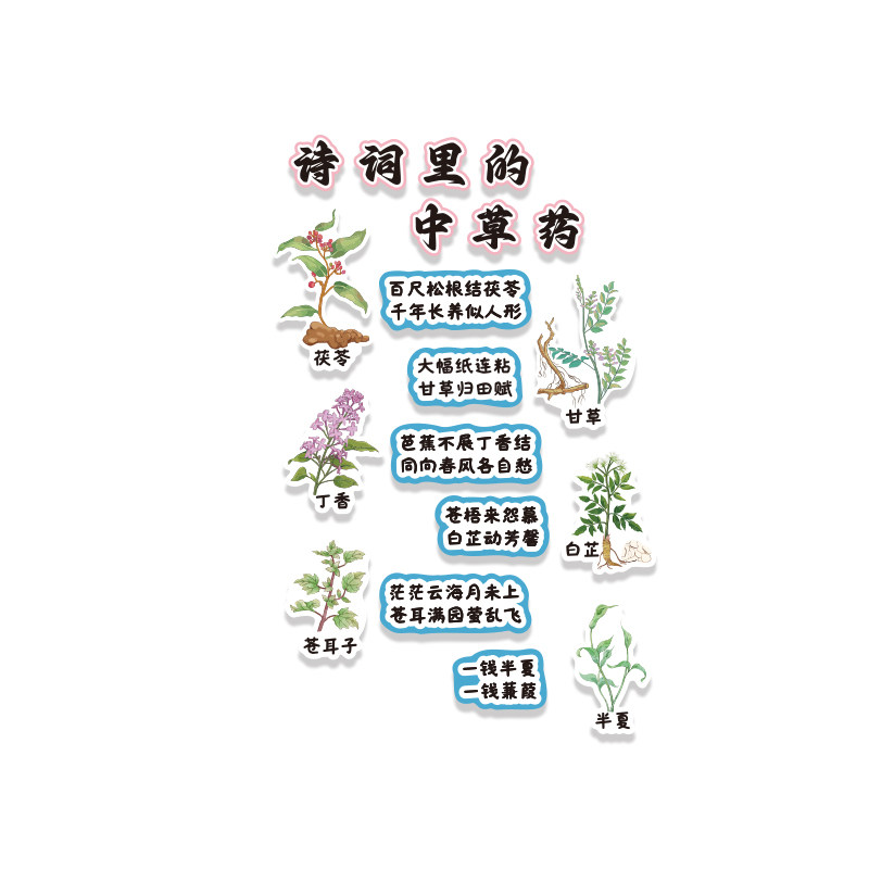 中草药馆贴纸画文化幼儿园环创板材料主题成品班教室墙面装饰走廊