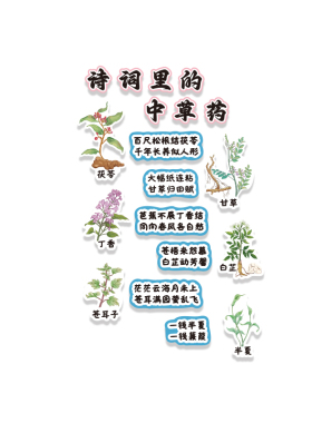 中草药馆贴纸画文化幼儿园环创板材料主题成品班教室墙面装饰走廊
