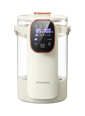 韩国HYUNDAI多功能电热水瓶