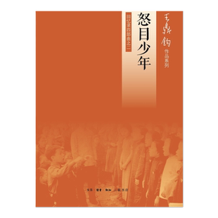 【三联书店】怒目少年（回忆录四部 之二）王鼎钧作品 中国古代随笔文学畅销书籍排行榜 现当代文学经典之作  三联书店官方