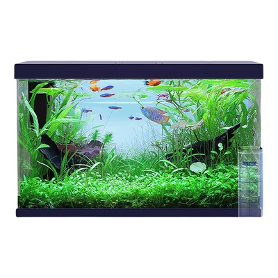 【3合1】百因美亚硝酸盐测试剂PH/NO2/NH3淡海水氨氮阿摩尼亚检测