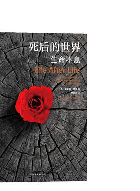 当当网 死后的世界：生命不息平装版  雷蒙德·穆迪 中国友谊出版公司 后浪正版书籍