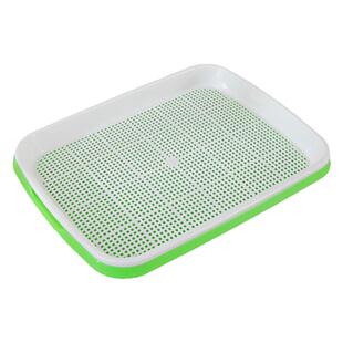 蒜苗种植盆蒜黄专用育苗托盘芽苗菜豌豆苗发豆芽种蒜神器水培器皿