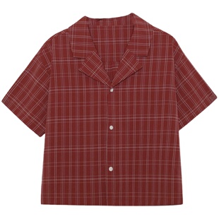 格子衬衫女夏季短袖薄款v领雪纺上衣短款设计感小众法式复古衬衣