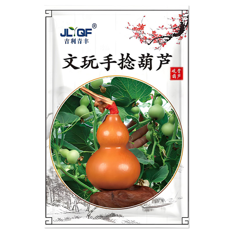 文玩手捻小葫芦种子观赏