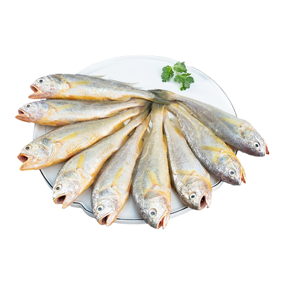 海鼎纪 新鲜海捕小黄鱼个大肉肥冷冻水产海鲜6-8条/斤 3斤装