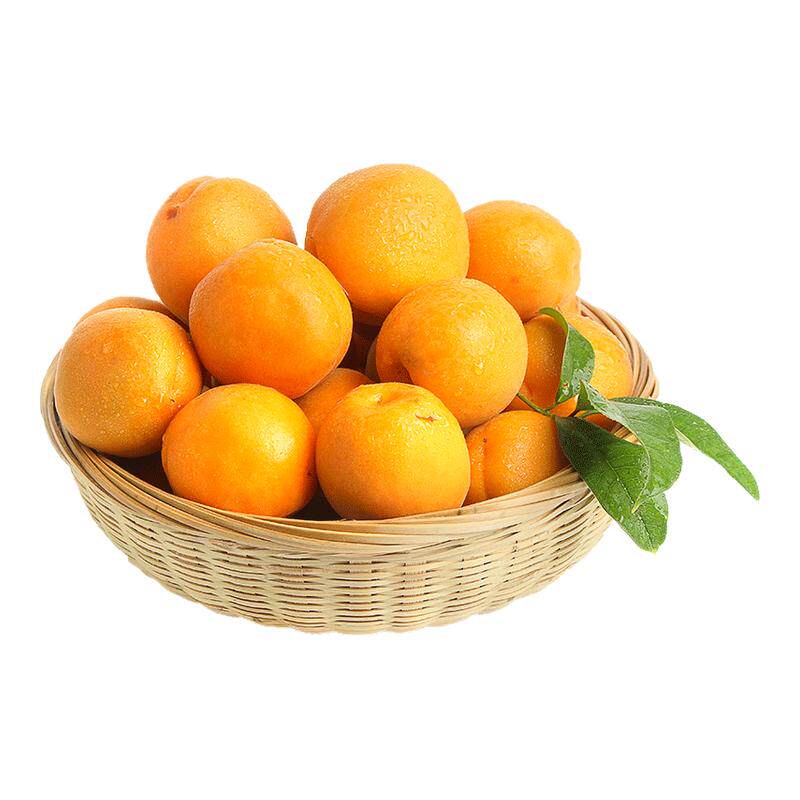 【官方甄选】陕西头茬大黄杏甜！