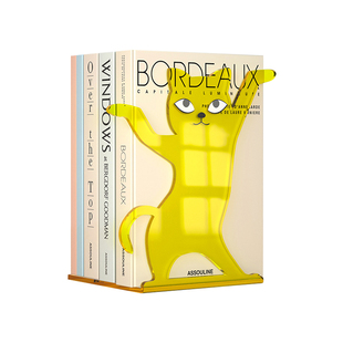 加厚亚克力L型书立架定制可爱妖娆跳舞的猫彩色透明学生教室课桌收纳书本托桌面整理杂志挡板装饰阅读展示架