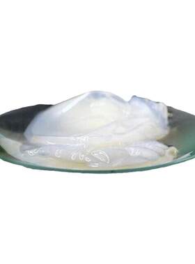细菌纤维素BC生物纤维凝胶干湿膜