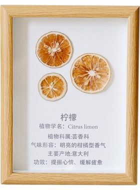 精油植物标本实木相框复古装饰画