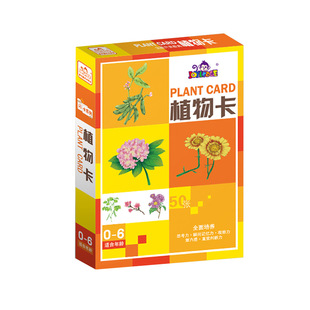 多乐智闪卡世界名胜卡时钟卡省份卡职业卡国之韵全脑开发杜曼早教