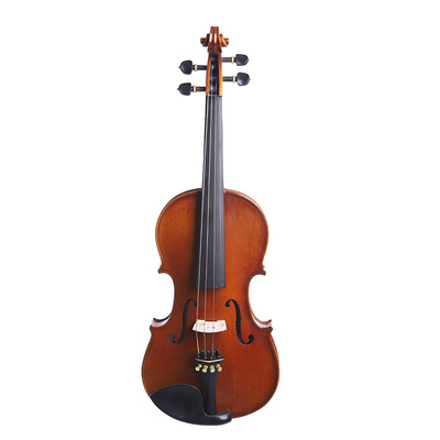 意大利波拉斯特利PL1713小提琴