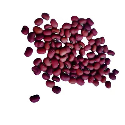 25年7月新货湖南本地红小豆新豆