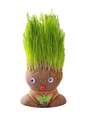 幼儿园毕业礼物赠送实用种植盆栽