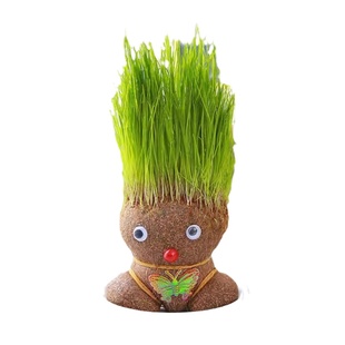 地推送小礼品创意长草娃娃圣诞分享趣味盆栽班级活动奖励礼物奖品