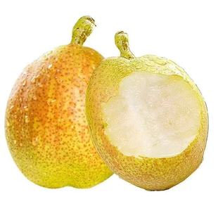 正宗新疆库尔勒香梨应当季新鲜孕妇水果全母梨子纯甜9斤整箱顺丰