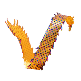 广场舞舞龙甩龙带龙头彩带健身龙带甩耍龙中老年人成人初学8米