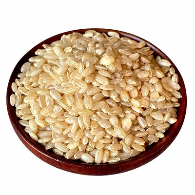 纯香粳米特级正宗粳米优质胚芽米中旗药补津液舰熬米油煮粥大米店