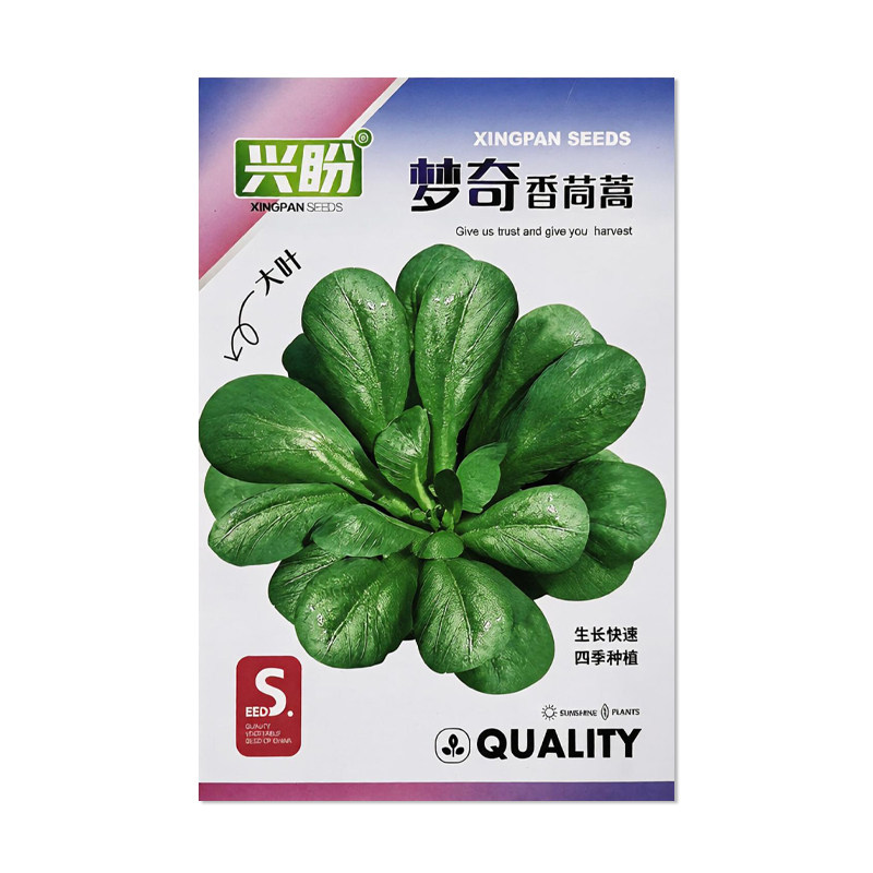 兴盼梦奇香茼蒿种子皇帝菜