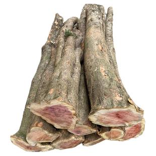 红豆杉木料原木料赤柏松紫杉红木雕刻工艺品弓柄水杯摆件把件包邮