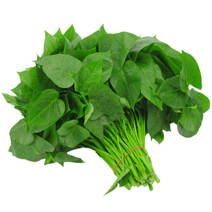 大叶空心菜种子白梗空心菜种籽春夏秋季四季通心菜蕹菜阳台盆栽孑