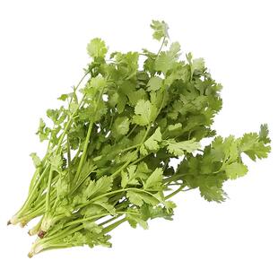 当季种植菜种大全四季阳台庭院香菜小香葱萝卜菜种子蔬菜种子菜种