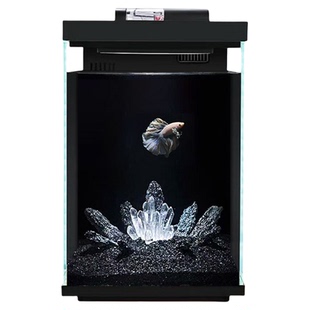 小米2代鱼缸造景小米鱼缸造景桌面暗黑风水晶风格小鱼缸造景全套