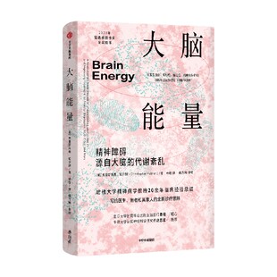 大脑能量 佛大学精神病学教授20余年临床经验 写给医生患者和其家人的全新诊疗思路 克里斯托弗帕尔默著 中信出版社图书 正版