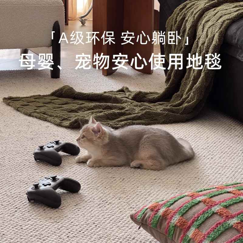 原色羊毛地毯客厅2025新款垫地奢感茶几风轻高级沙发奶油法式简约