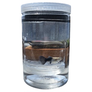 孔雀鱼繁殖隔离盒独立产卵桶母鱼孵化网产房小鱼幼鱼隔离透明产箱