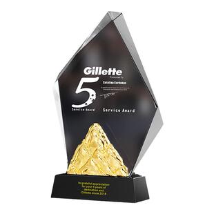 水晶奖杯定制定做奖牌创意年会优秀员工颁奖纪念品 免费刻字设计