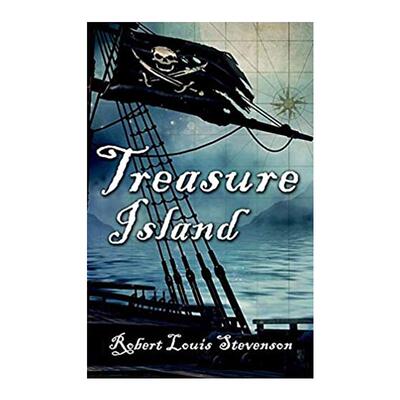 ROLLERCOASTER TREASURE ISLAND  进口书籍书本 纯全英文版正版原著进口原版英语书籍