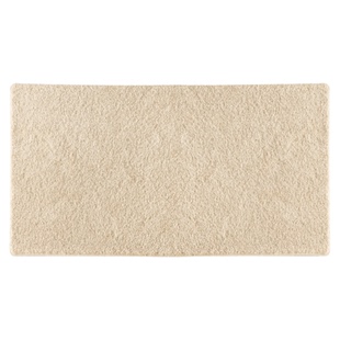 客厅加厚长毛绒大地毯垫纯素色新款卧室沙发茶几意式极简轻奢高级