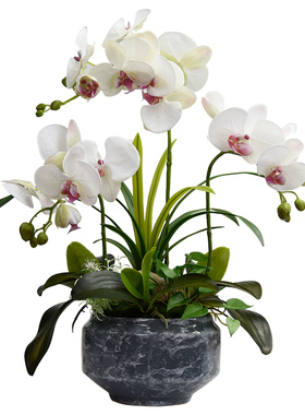 蝴蝶兰手感高品质客厅餐桌花艺