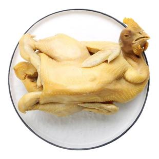 正宗广东白切鸡整只 新鲜白斩鸡嫩土鸡手撕鸡口水鸡加热即食凉拌