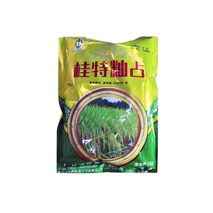 珍桂矮水稻种子米粉专用稻可留种常规稻种子桂特籼占肠粉稻桂潮米