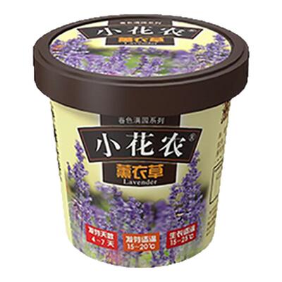 包邮宿舍含羞草种子礼物小盆栽